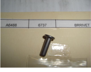 CLUTCH RIVET