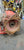 880XTAHX-A3XS CHELSEA 880 SERIES PTO